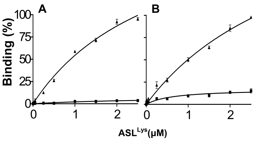 Figure 2.  Ribosomal, equilibrium binding curves of the fully-modified human 