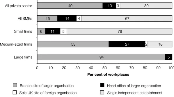 Figure 2.1 Location within the wider organization