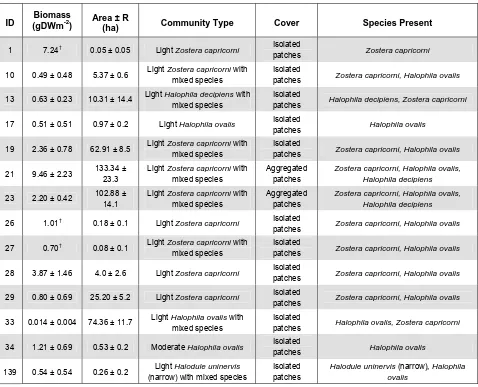 Table 4 Seagrass community type, seagrass cover and species present in The Narrows region, November 2010 (see Map 3; all values ± standard error)  