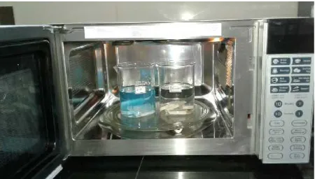 FIG 2: DOMESTIC MICROWAVE OVEN