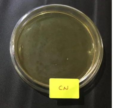 Fig no.4.1.5  No growth colonies 