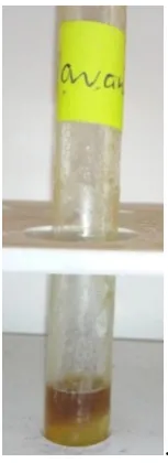 Fig no.4.2.1Test for Alakaloid 