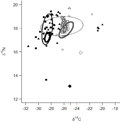 Figure 1.4: Bayesian standard ellipse area (SEAb) for small (thickest gray ellipse), medium (medium thickness gray ellipse), and large (thinnest gray ellipse) White Bass and small (thickest black ellipse), medium (medium thickness black ellipse), and large