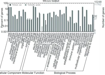 Figure 1. Similarity searches. Venn diagram illustrating the overlap in amino acid sequence homology between and amongselected species of the class Enoplea (i.e., Trichuris suis and Trichinella spiralis) and Chromadorea (i.e., Caenorhabditis elegans, Pristionchus pacificus and Meloidogynehapla).doi:10.1371/journal.pone.0023590.g001