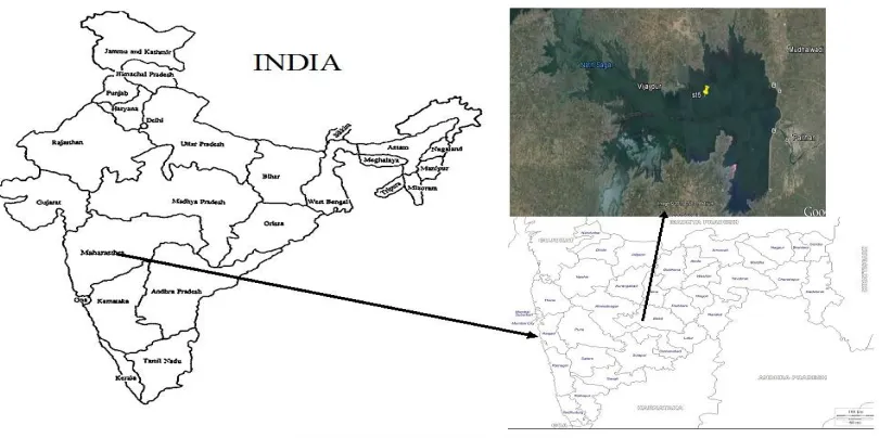 Table 1. Descriptive statistics of the Nath Sagar Reservoir  Minimum 