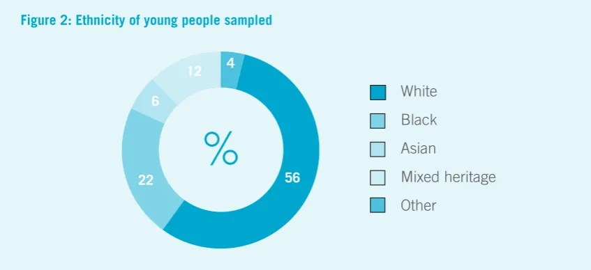 Table 2: Breakdown of ethnic groups of young people sampled
