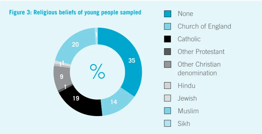 Figure 3: Religious beliefs of young people sampled 