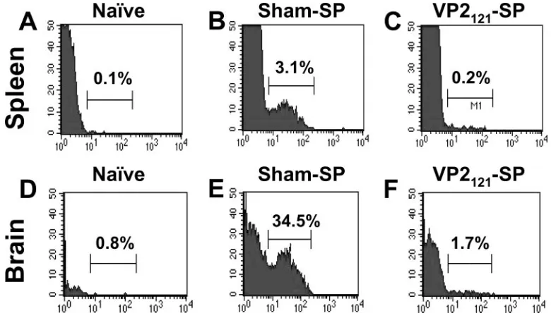 FIG. 3. Inhibition of induction of VP2121-130tetramers. Each plot is gated on live CD3B6 mice were tolerized with either sham-SP (B and E) or VP2tolerized-infected mice were perfused and their spleens (A to C) or brains (D to F) were prepared and stained f