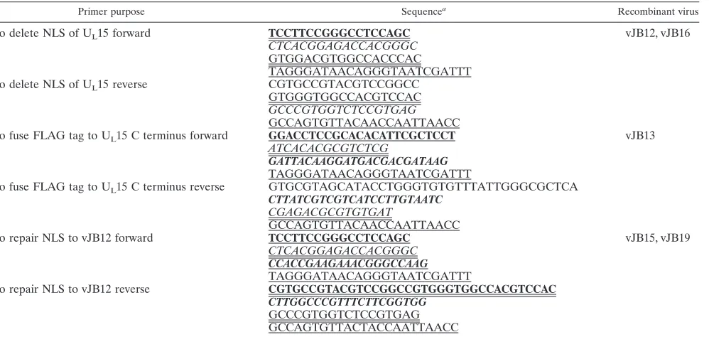 TABLE 1. PCR primers used for constructing recombinant viruses