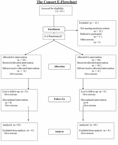 Figure 1. CONSORT flowchart.