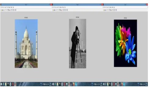 Figure 6(a) Input Images  