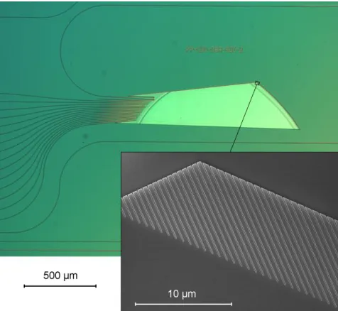 Figure 8.   Figure 8. Fabricated micro-spectrometer with access waveguides on SOI, with in inset the 