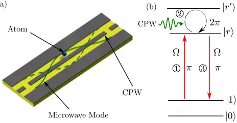 FIG. 1. (Color online). Hybrid Quantum Gate Scheme (a) An atomtrapped above the electric ﬁeld antinode of a superconducting mi-crowave coplanar waveguide resonator