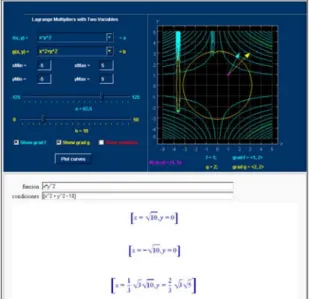 Fig. 2: Lagrange worksheet showing the applet and part of the symbolic solutions. 