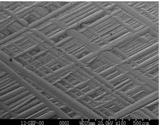 Figure 1.18 100x image of the textured surface showing the overall features