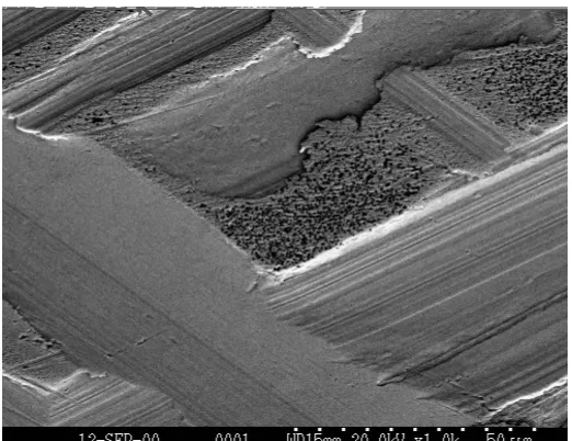 Figure 1.19 1000x image of the surface showing plateau between grooves