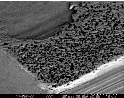 Figure 1.20 3000x image of the plateau showing individual diamonds (size 0.3-0.5 µm)