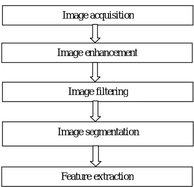 Fig 1 Block schematic of proposed image processing system 