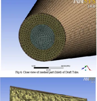 Fig 4: Close view of meshed part (Inlet) of Draft Tube.  