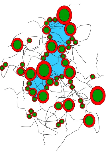 Figure 1.4  Visual presentation of four categories of sludge water as defined by Vesilind (1994)