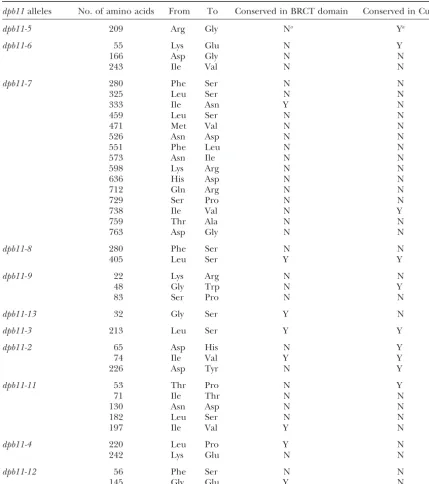 TABLE 2