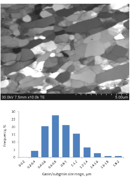 Fig. 6 displays this structure for the plane normal to plate axis. The grain size distribution in this plane and the average grain size o 0.83 micron is what one could expect from route C 