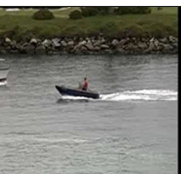 Figure 4:  Video taken for testing the steganography algorithm, newsreader.avi (Upper), Rhino.avi (Middle) and coastguard.avi (Lower) 