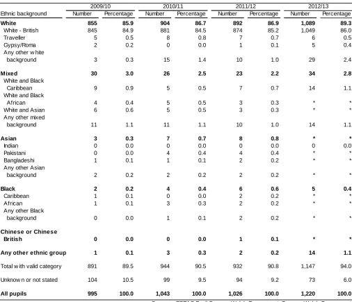 Table 6: Pupils whose main education is other than at school, by ethnic background (a) 