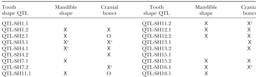 TABLE 4