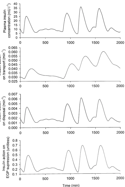 Figure 4.4: half Sample simulation with the insulin action subsystem over one and a day