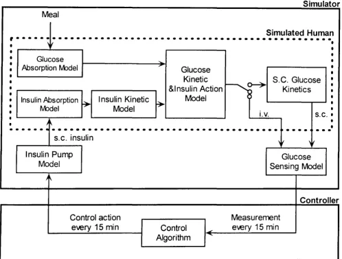 Figure 5.1: measurement and insulin pump models and control algonthm subject with Type An overall layout of the simulation environment which include a simulat~d 1 diabetes within the closed-loop control framework with to close the loop