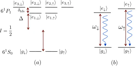 FIG. 1.(a) Atomic structure of 171Yb (nuclear spin I =1/2).We use the spectroscopic notation for the sublevelsand show hyperﬁne structure splittings of the lowest singletlevels (energies are not drawn to scale)