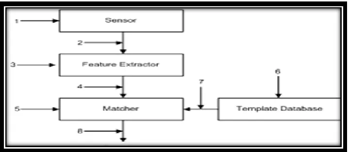 Figure 4: Attack Points in a Biometric System.