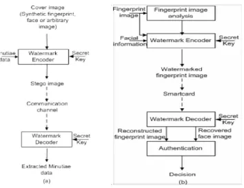 Figure 5: Steganographic (a) and Watermarking (b) techniques  