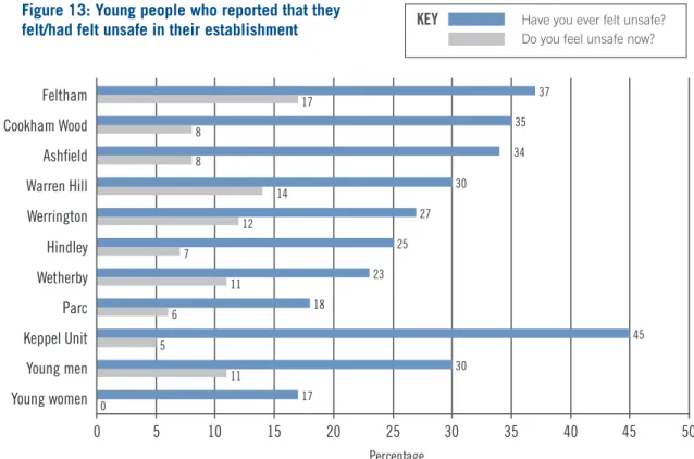 Figure 13: Young people who reported that they  felt/had felt unsafe in their establishment