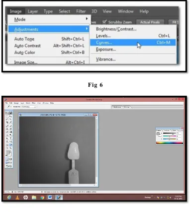 Fig 6  