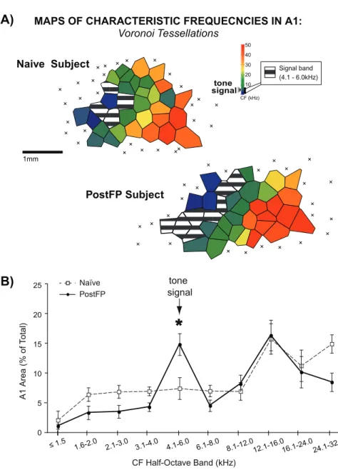 Fig. 5. Representation of frequency across A1 in the PostFP group. (A) Example map of characteristic frequency (CF) from a PostFP subject shows an increase in signal-area relative to a naïve subject