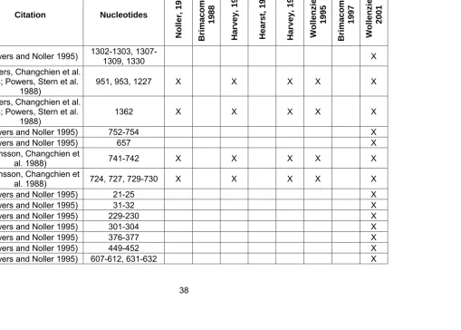 TABLE 3:  FOOTPRINTING OF 16S RRNA BY RIBOSOMAL PROTEINS, CONTINUED 