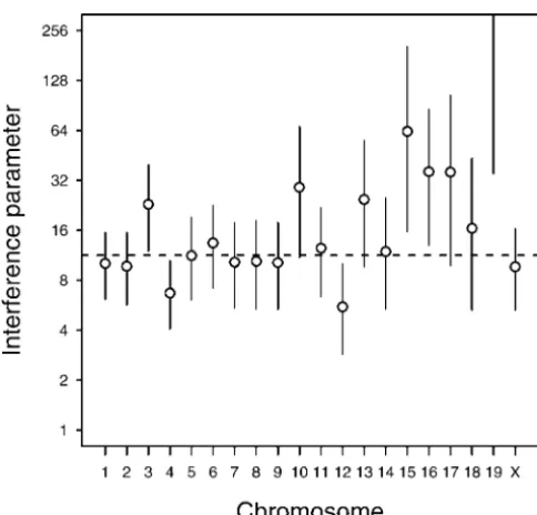 Figure 4.—Estimates of the interference parameterthe gamma model for each chromosome, with approximateconﬁdence intervals