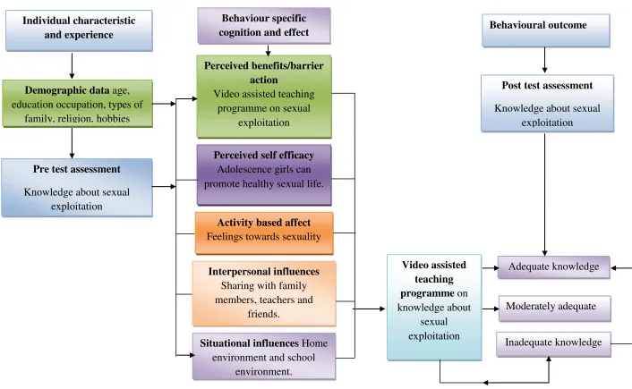 Fig.1.1: CONCEPTUAL FRAME WORK BASED ON MODIFIED PENDERS HEALTH PROMOTION MODEL 
