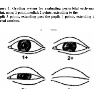 Figure 2. Grading system for evaluating eyelid edema. 0 point, none; 
