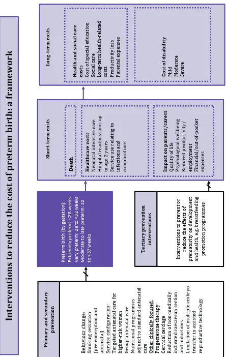 Figure 3.1  Preterm birth: a framework for costs and prevention