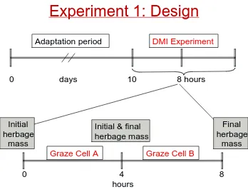 Figure 2. Diagram of the timeline for EXPT1.  