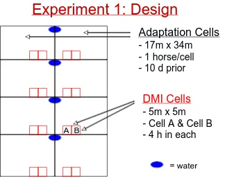 Figure 1. Diagram of Adaptation cells and DMI cells for EXPT1.  