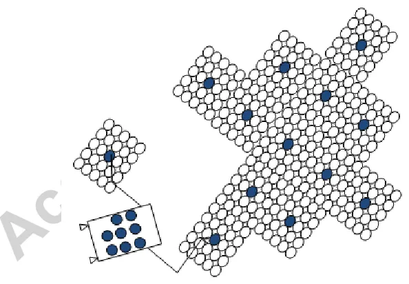 Fig. II: Schematic of deployment with the release of colonies from 