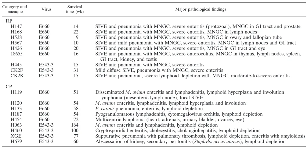 TABLE 1. Summary of clinical and pathological outcomes of study animals