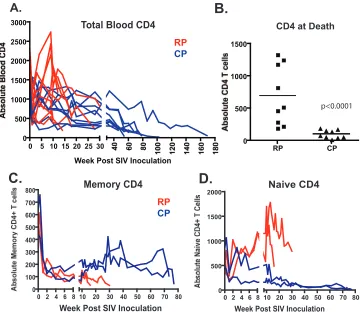 FIG. 3. CD4�in RP (red) and CP (blue) macaques. (B) Comparison of total CD4total CD4of two RP and two CP macaques inoculated with SIVsmE543-3 shows the selective depletion of memory CD4as determined by CD28 and CD95 expression