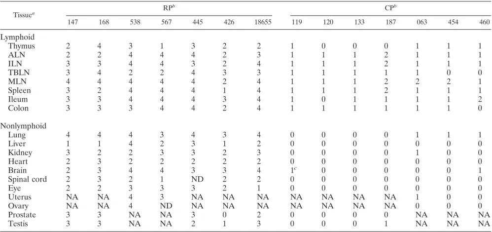 TABLE 2. Distribution and estimates of viral loads in tissues of SIV-infected rhesus macaques