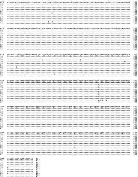 FIG. 4. Nucleotide sequences of the HBZdefective proviruses were ampliﬁed, and their sequences were determined