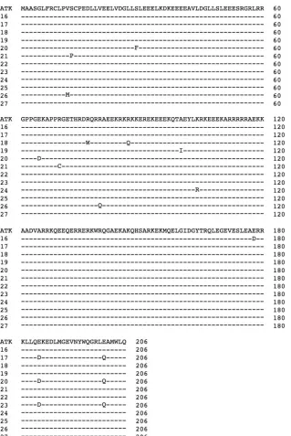 FIG. 5. Amino acid sequences of HBZ protein in ATL cells with type 2 defective provirus